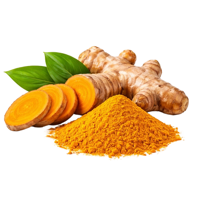  Curcuma