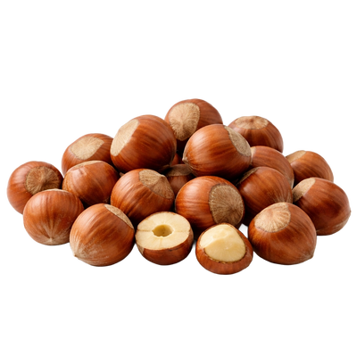  Noisettes