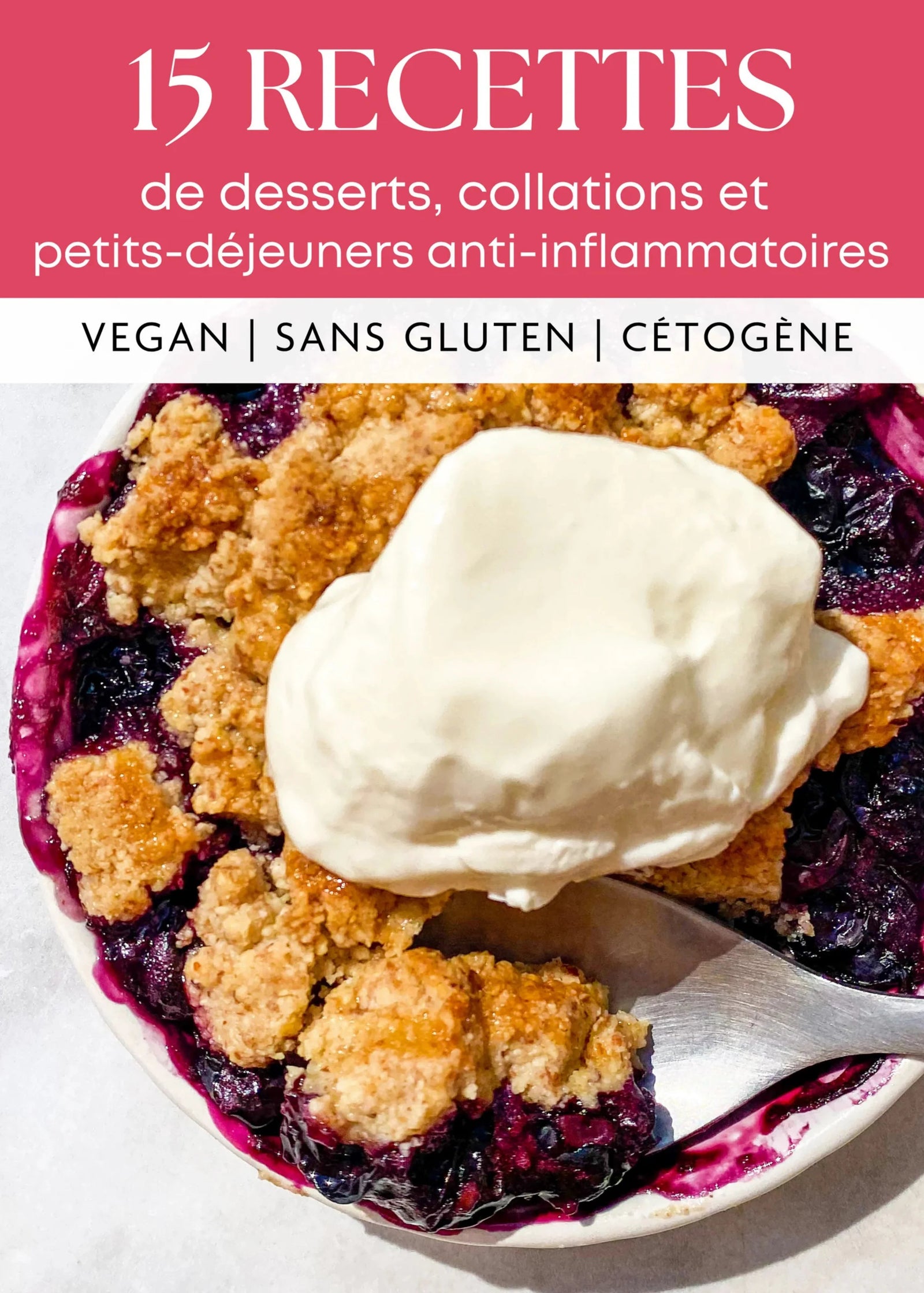 E-book 15 recettes de desserts collations et petits-déjeuners anti-inflammatoires vegan sans gluten cétogène Holy Blends