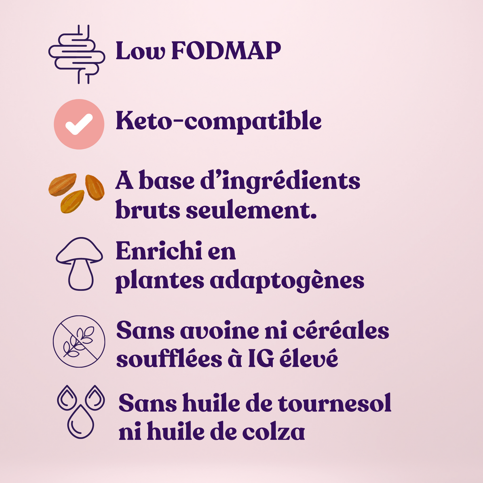 Granola Holy Blends - Low FODMAP keto-compatible ingrédients bruts plantes adaptogènes sans avoine sans huile de tournesol